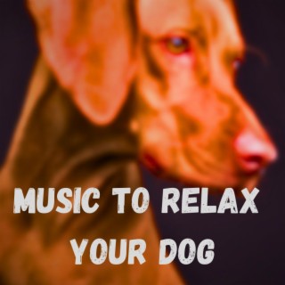 Music to Relax Your Dog (Vol.8)