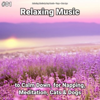 #01 Relaxing Music to Calm Down, for Napping, Meditation, Cats & Dogs