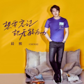 想要忘记却无能为力 (伴奏) lyrics | Boomplay Music