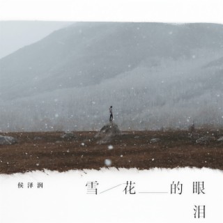 雪花的眼泪 lyrics | Boomplay Music