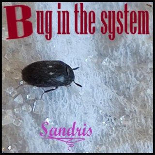 Bug in the system