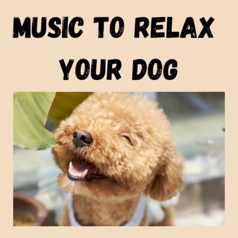 Soothing Dog Music ft. Relaxing Puppy Music, Music For Dogs & Music For Dogs Peace