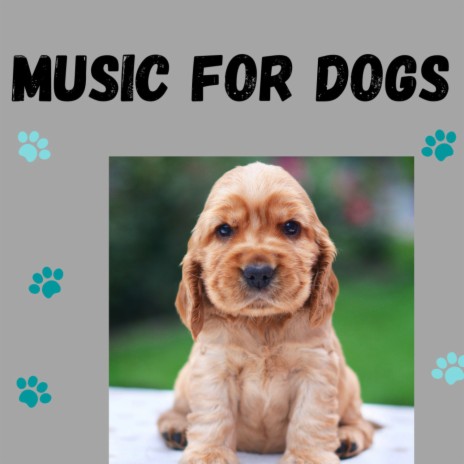 Bed Time ft. Music For Dogs Peace, Calm Pets Music Academy & Relaxing Puppy Music | Boomplay Music