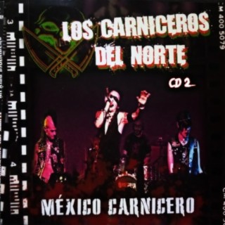 MÉXICO CARNICERO 2