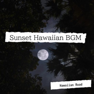 Sunset Hawaiian BGM