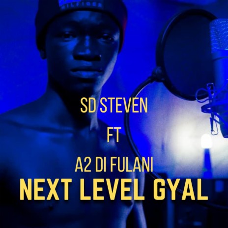 NEXT LEVEL GYAL ft. A2 Di Fulani | Boomplay Music