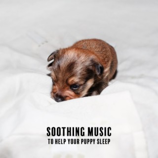 Soothing Music to Help Your Puppy Sleep: Relaxation Bedtime Songs & Lullabies for Dogs, Sleep Sounds for Dogs & Puppies