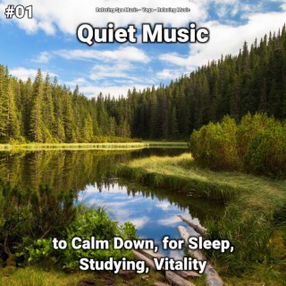 #01 Quiet Music to Calm Down, for Sleep, Studying, Vitality