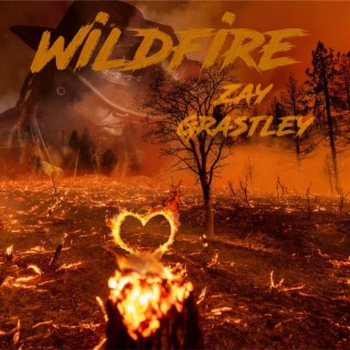 WildFire