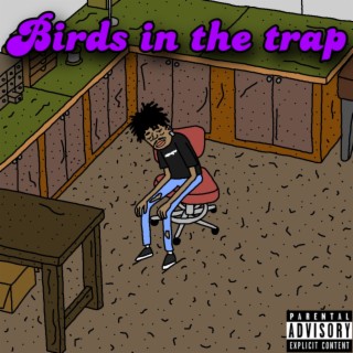 Birds in the trap