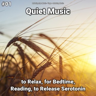 #01 Quiet Music to Relax, for Bedtime, Reading, to Release Serotonin