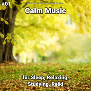 #01 Calm Music for Sleep, Relaxing, Studying, Reiki