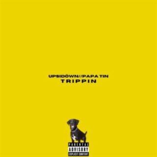 Trippin' (feat. Papa Tin)