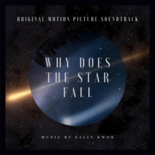 Why Does The Star Fall (Original Motion Picture Soundtrack)