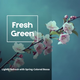 Lightly Refresh with Spring-Colored Bossa