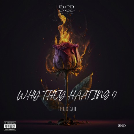 Why They Hating | Boomplay Music