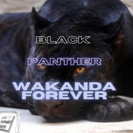 Black Panther X Wakanda Forever Tribute (Original ShowTheWayBeats Soundtrack) | Boomplay Music