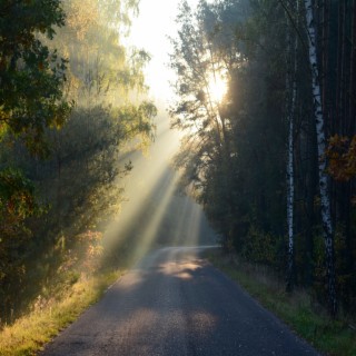 Sunray Sidewalk