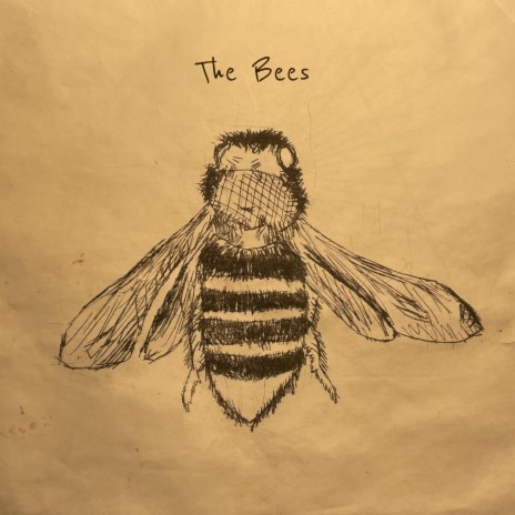 The Bees | Boomplay Music