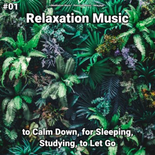 #01 Relaxation Music to Calm Down, for Sleeping, Studying, to Let Go