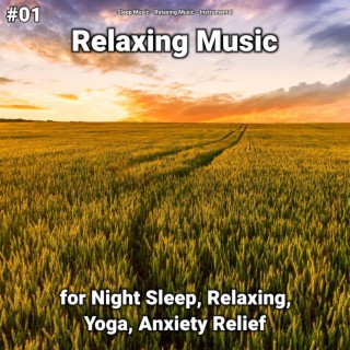 #01 Relaxing Music for Night Sleep, Relaxing, Yoga, Anxiety Relief