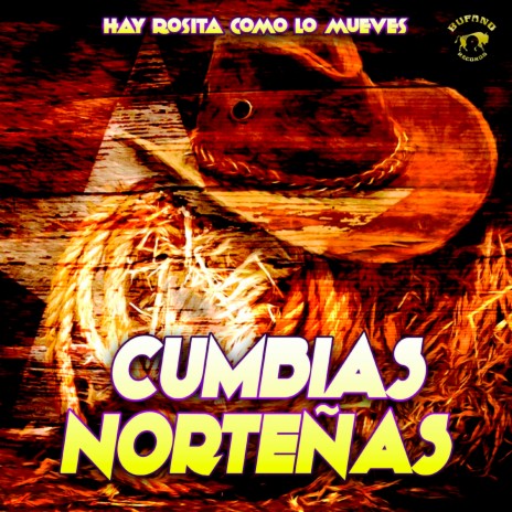 Ay Rosita | Boomplay Music