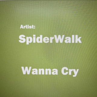 Wanna Cry lyrics | Boomplay Music