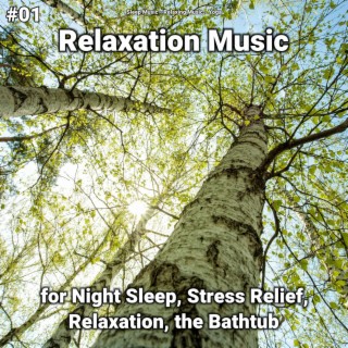 #01 Relaxation Music for Night Sleep, Stress Relief, Relaxation, the Bathtub