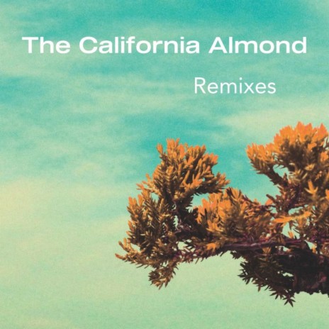 The California Almond (Jackson Swaby Remix)
