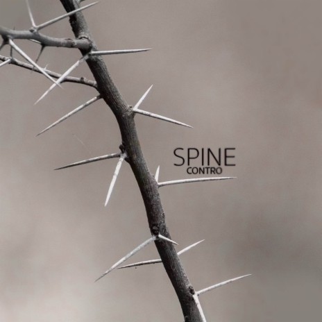 Spine | Boomplay Music