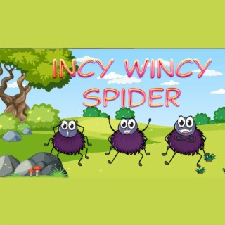 Incy Wincy Spider