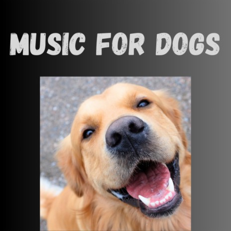 Separation Relief ft. Music For Dogs, Calm Pets Music Academy & Relaxing Puppy Music | Boomplay Music