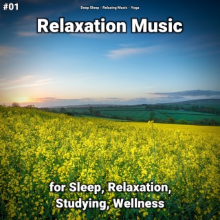 #01 Relaxation Music for Sleep, Relaxation, Studying, Wellness