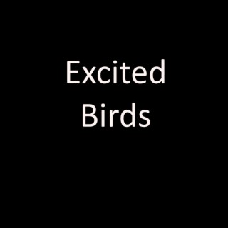 Excited Birds