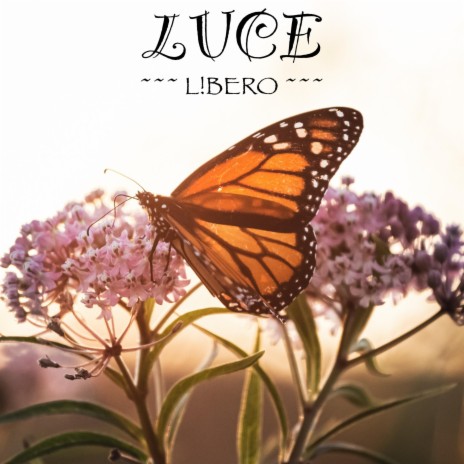 Luce | Boomplay Music