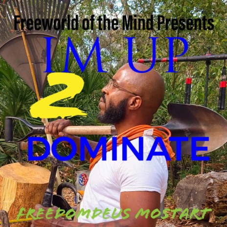 IM UP 2 DOMINATE | Boomplay Music