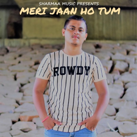 Meri Jaan Ho Tum | Boomplay Music