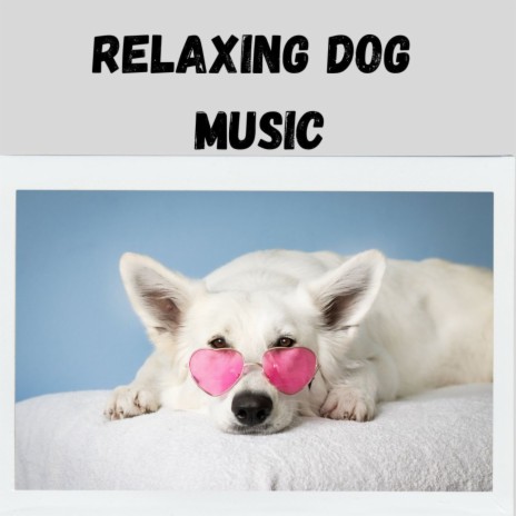 Quiet Time ft. Music For Dogs Peace, Calm Pets Music Academy & Relaxing Puppy Music