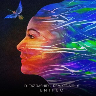 DJ Taz Rashid Remixed, Vol. 6 (Entheo Remix)