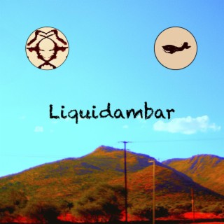 Liquidambar