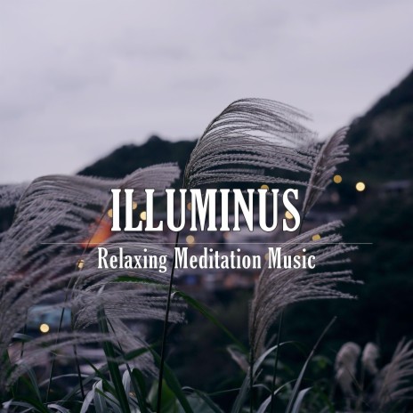 Illuminus | Boomplay Music