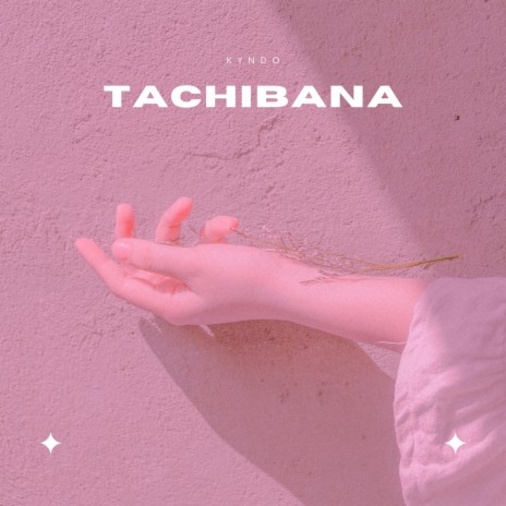 Tachibana | Boomplay Music