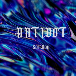 SoftBoy