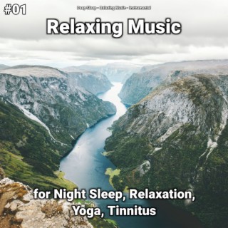 #01 Relaxing Music for Night Sleep, Relaxation, Yoga, Tinnitus