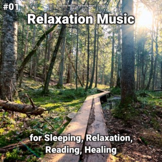 #01 Relaxation Music for Sleeping, Relaxation, Reading, Healing