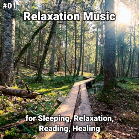Tranquilizing Realizations ft. Yoga & Relaxing Music