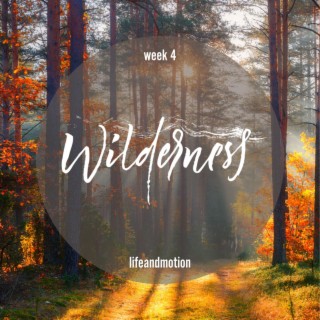 Wilderness Week 4