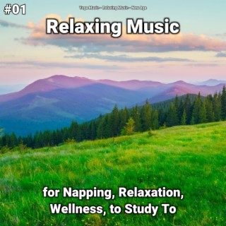 #01 Relaxing Music for Napping, Relaxation, Wellness, to Study To