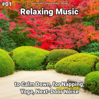 #01 Relaxing Music to Calm Down, for Napping, Yoga, Next-Door Noise