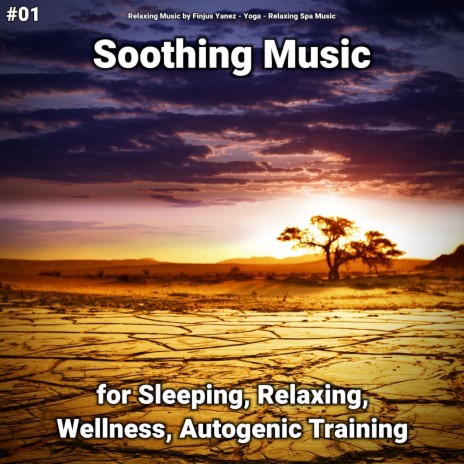 Slow Music ft. Relaxing Music by Finjus Yanez & Relaxing Spa Music | Boomplay Music